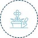 Garden Design & Planting