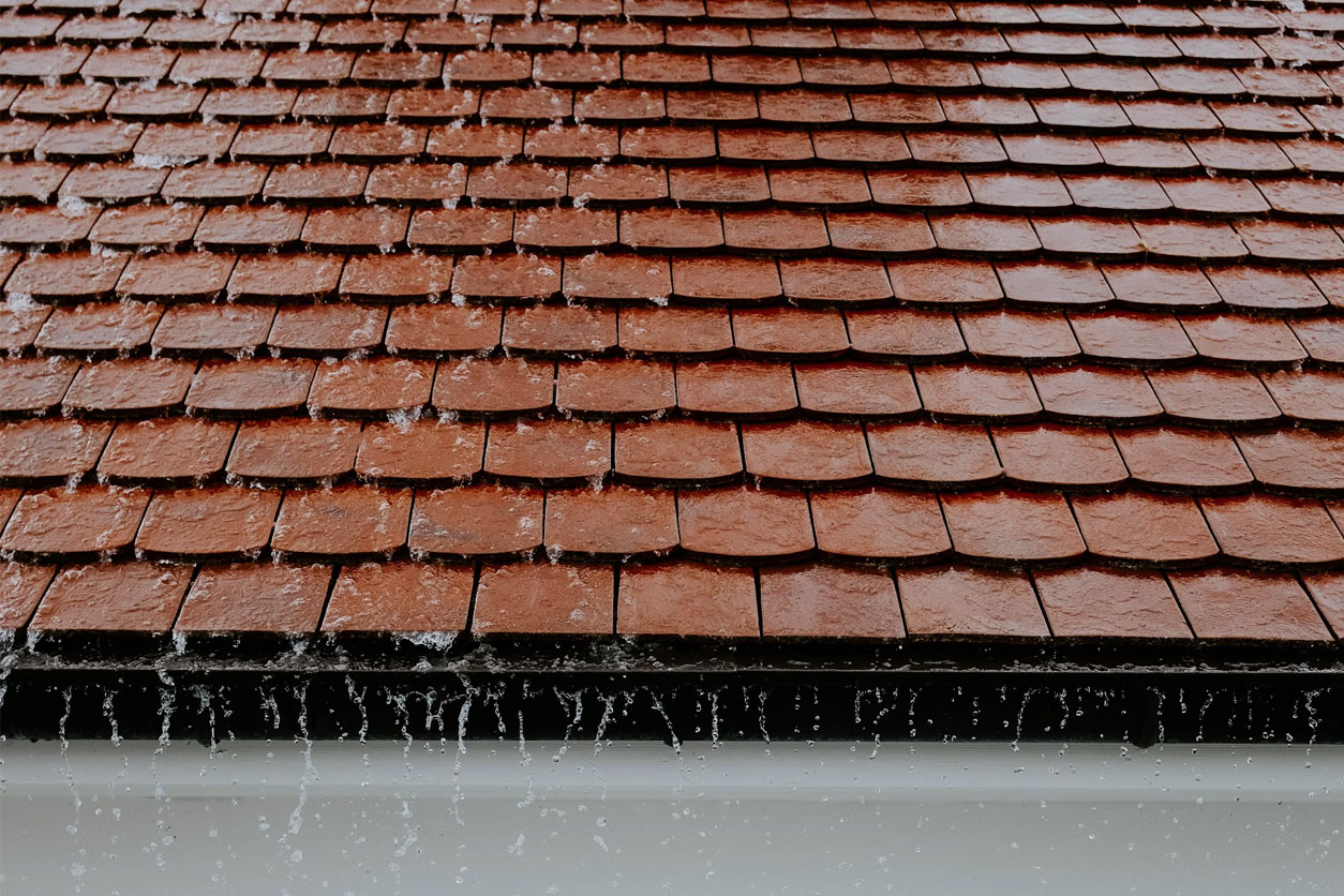 Soft Wash Roof Cleaning