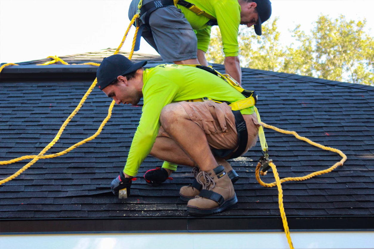 Why Roof Cleaning Matters